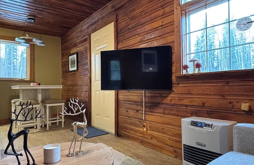North Pole Cabina | Birch + Bjørn Tiny Home: Aurora Viewing & Sun Deck