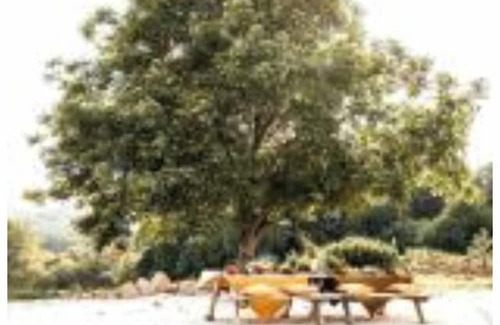 Jumilhac-le-Grand Casa | La Petite Grange des Vignes - peace and quiet in the countryside