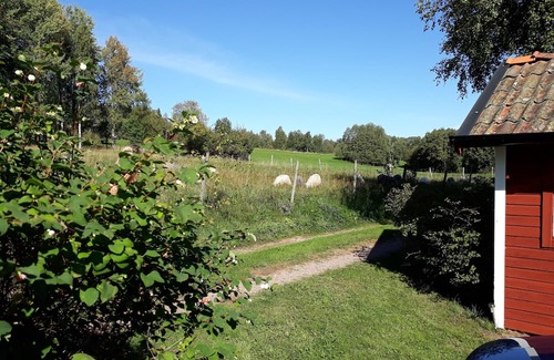 Bjursas Cabaña | Dala cottage with stunning views near forest and lake