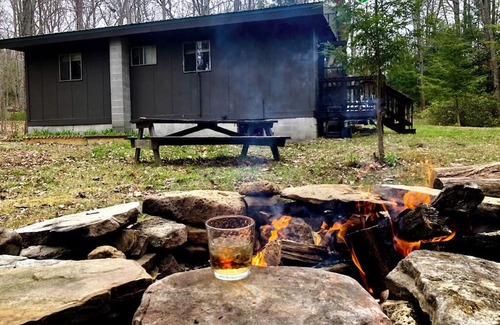 Fleming Cabina | Fantastic 2-bedroom cabin in Black Moshannon State Park. Only 20 mins from PSU!