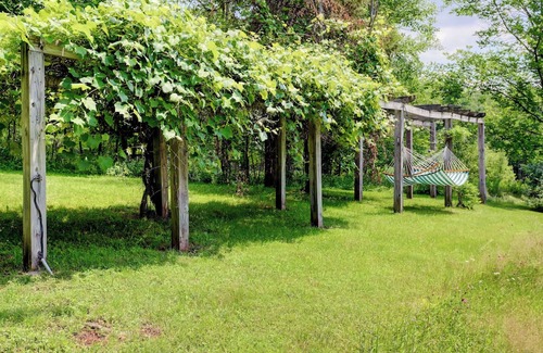West Kill Cabina | Charming family cabin in the Catskills most secret valley!