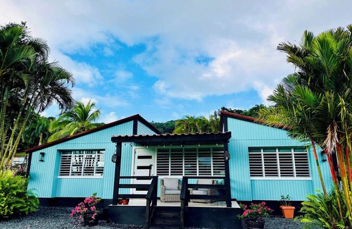 Mata de Platano Chalet De Esquí | Yunque Valley! 3-bedroom chalet in La Capital del sol, Luquillo! with AC, WiFi!