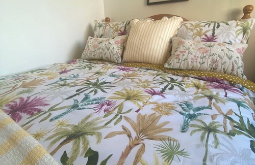 Londonderry Apartamento | Cosy Irish Cabin studio in fabulous Derry with WiFi & Private Bathroom