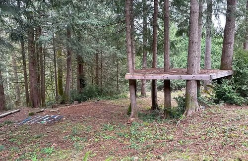 Brinnon Casa | A perfect escape in the woods on the Hood Canal! Cabin, treehouse, camp sites!