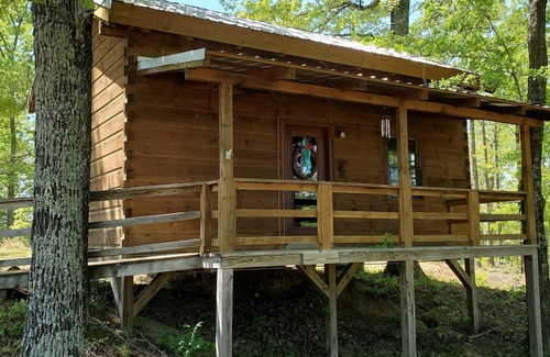 Winona Cabina | Charming 1-bedroom cabin in Winona. Close 50 minutes to Starkville for games.