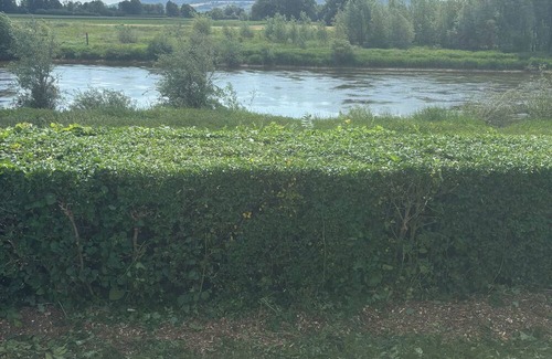 Rinteln Casa | Stylish vacation home directly on the Weser with covered terrace and free WLAN