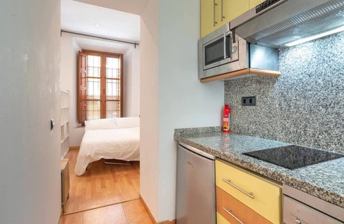 San Felipe Neri Apartamento | Chic studio centro malaga