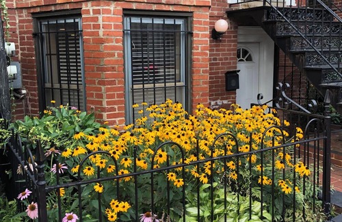 Logan Circle Apartamento | A City Gem! 1 Bedroom Apartment in the vibrant Logan Circle Area