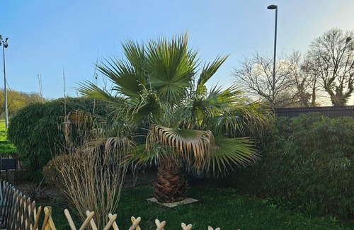 Les Sorinieres Casa | Chez Audrey