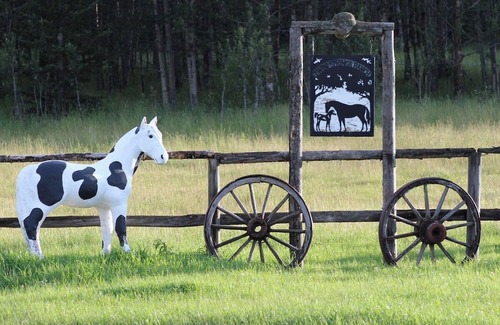 Cochrane Cabina | Small Vintage Ranch Accomidation