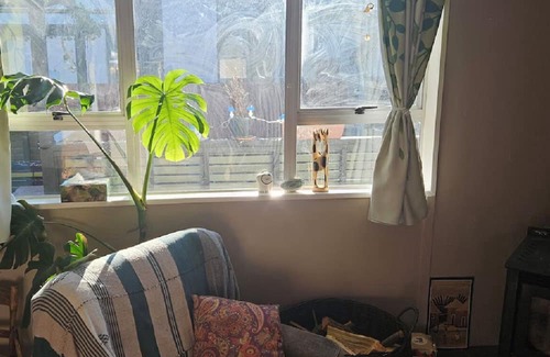 Clyde Casa | Cute, Colourful little house / cottage in Clyde