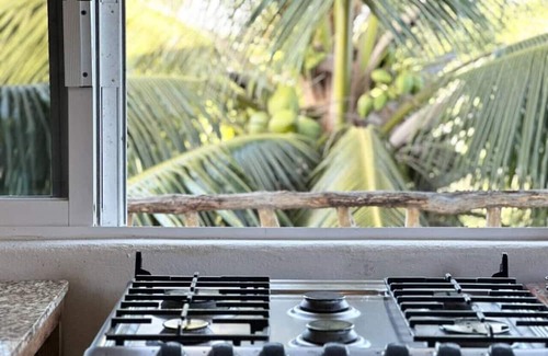 Emiliano Zapata Apartamento | Penthouse - SolSurf House Mita