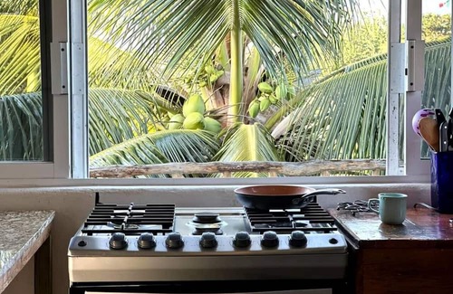 Emiliano Zapata Apartamento | Penthouse - SolSurf House Mita