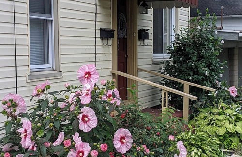 Greensburg Apartamento | Your Cozy Home in Greensburg, Laurel Highlands, near Seton Hill, Excela Health