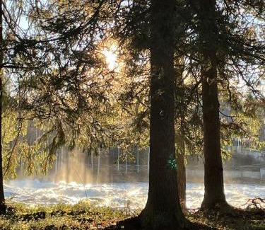 Vindeln Apartamento | Stay in Skogmästarvillan Hear the roar of the Vindelälven river