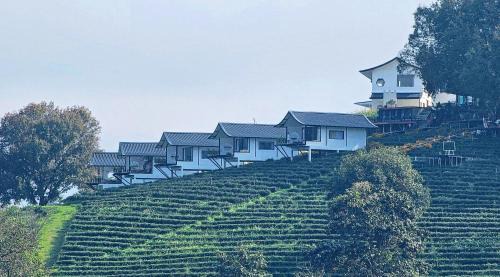Mae Fa Luang Casa | WATA KHIRI by Wang Put Tan