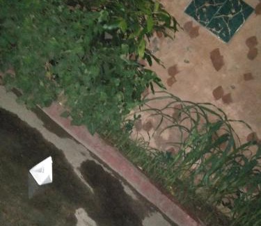 Johar Town Casa | ayaan house