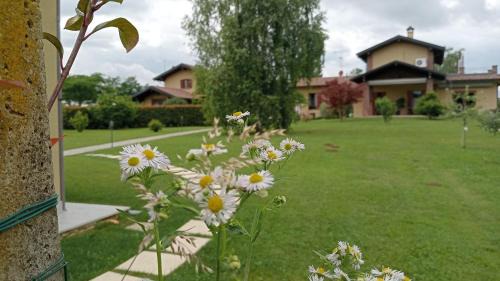 Boca Apartamento | Il Frutteto