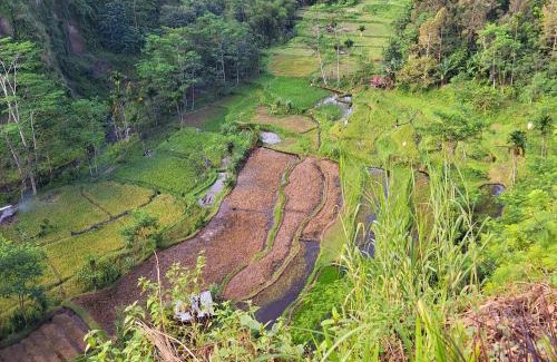 Lombok Otro | Lembah Datu Campsite