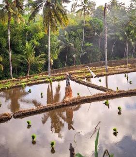 Lombok Otro | Lembah Datu Campsite