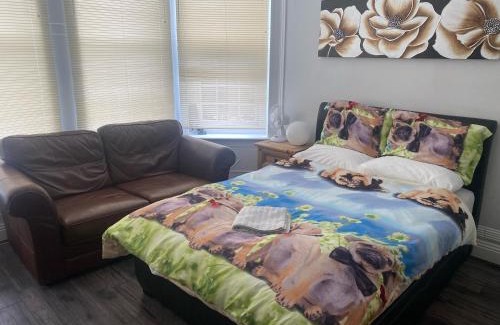 Plymouth Casa | Queens House