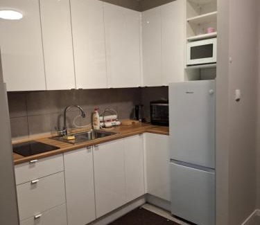 Zgorzelec Apartamento | Nova