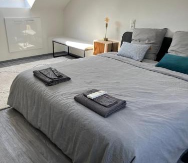 Reichstett Apartamento | Reichstett appartement Strasbourg 10min