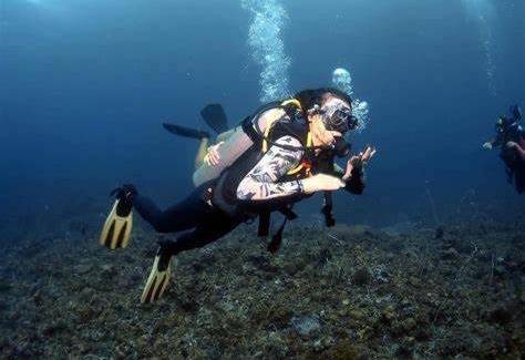 Coron Town Proper Alquiler De Eote | Awesome dive center