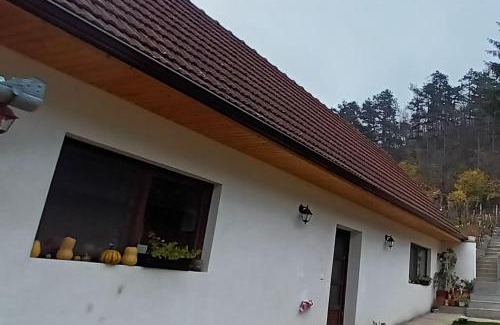 Laslea Casa | Casa Angelica