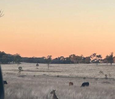 Marulan Cabina | Marulan Rural Getaway-Work Yard