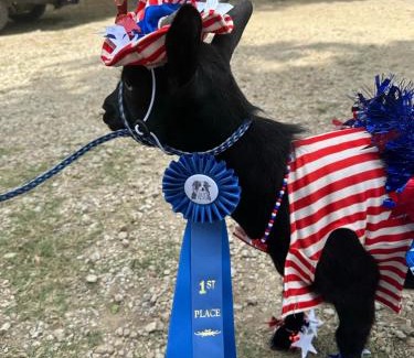 Bandera Casa | Lucky Star Ranch - Shooting Star