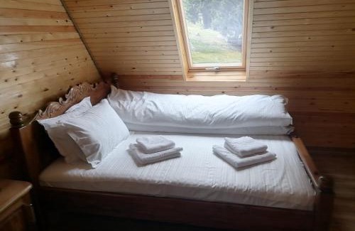 Busteni Casa | Cabana A-frame Padina