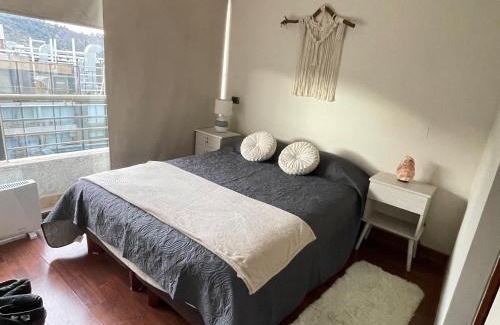 Santiago Apartamento | Metro Manuel Montt Providencia