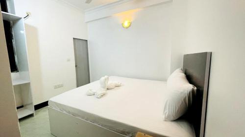 Male Casa | Orion Star