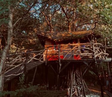 Cluj-Napoca Otro | Forest TreeHouse