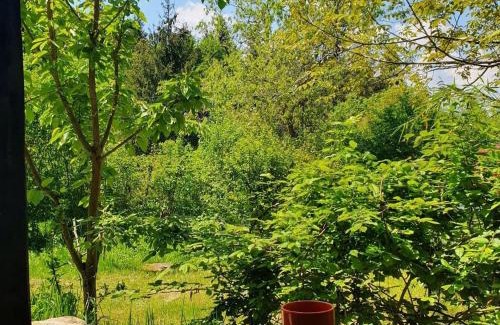Cluj-Napoca Otro | Forest TreeHouse