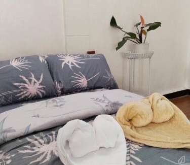 Tarlac Casa | Del Mar Transient House