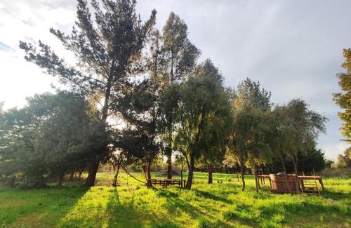 Cabrero Casa | Quinta Los Cipreses