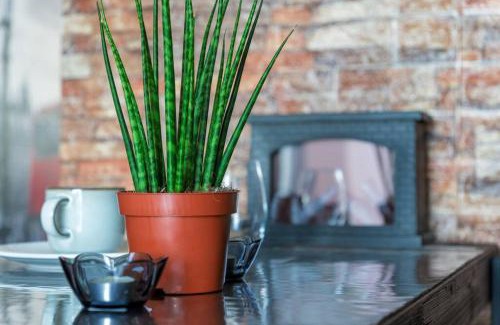 Ermita Casa | Manila Chic London Street, coffee bar Oceanview