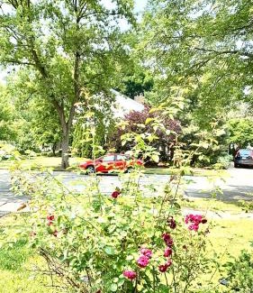 Naperville Casa | B2 A private room in Naperville downtown with desk and Wi-Fi near everything
