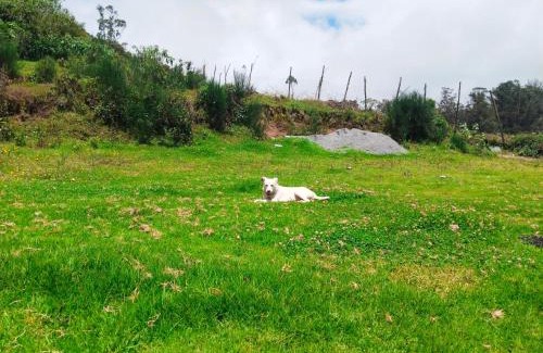 Ooty Complejo | ooty dreams resort