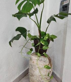 Uman Apartamento | Casa Rouge