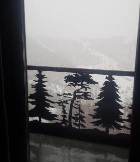 Kopaonik Apartamento | A 27 Ariš GARSONJERA