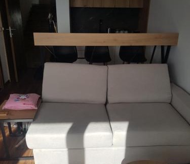 Kopaonik Apartamento | A 27 Ariš GARSONJERA
