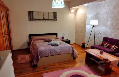 Ghimbav Apartamento | Milu Residence 2