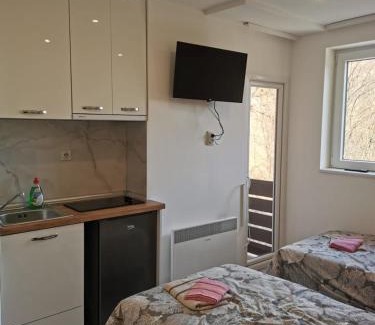 Central Serbia Apartamento | Aleksandar