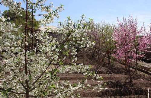 Xorazm Province Casa | ウズベキスタンの最北西にある村で異文化体験ができる民泊「チョギルマ」