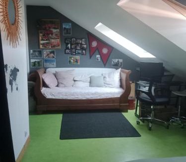 Le Mans Cama Y Desayuno | Au coeur du Mans Chambre sdb et toilettes privées