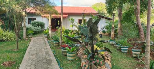Kimbissa Casa | peacock house