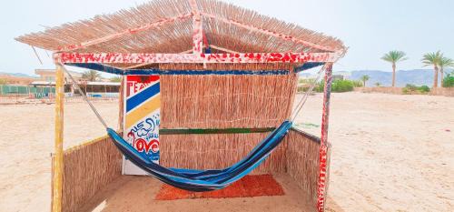 Wasit Otro | Starlight Camp Nuweiba